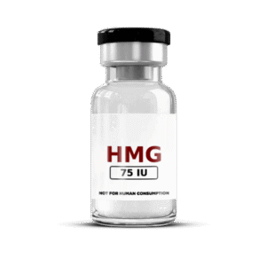 hmg 2.png