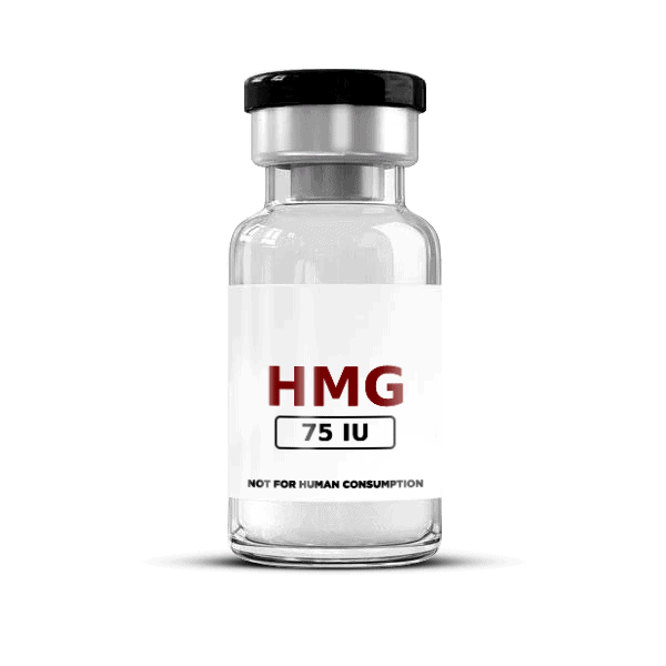hmg 2.png